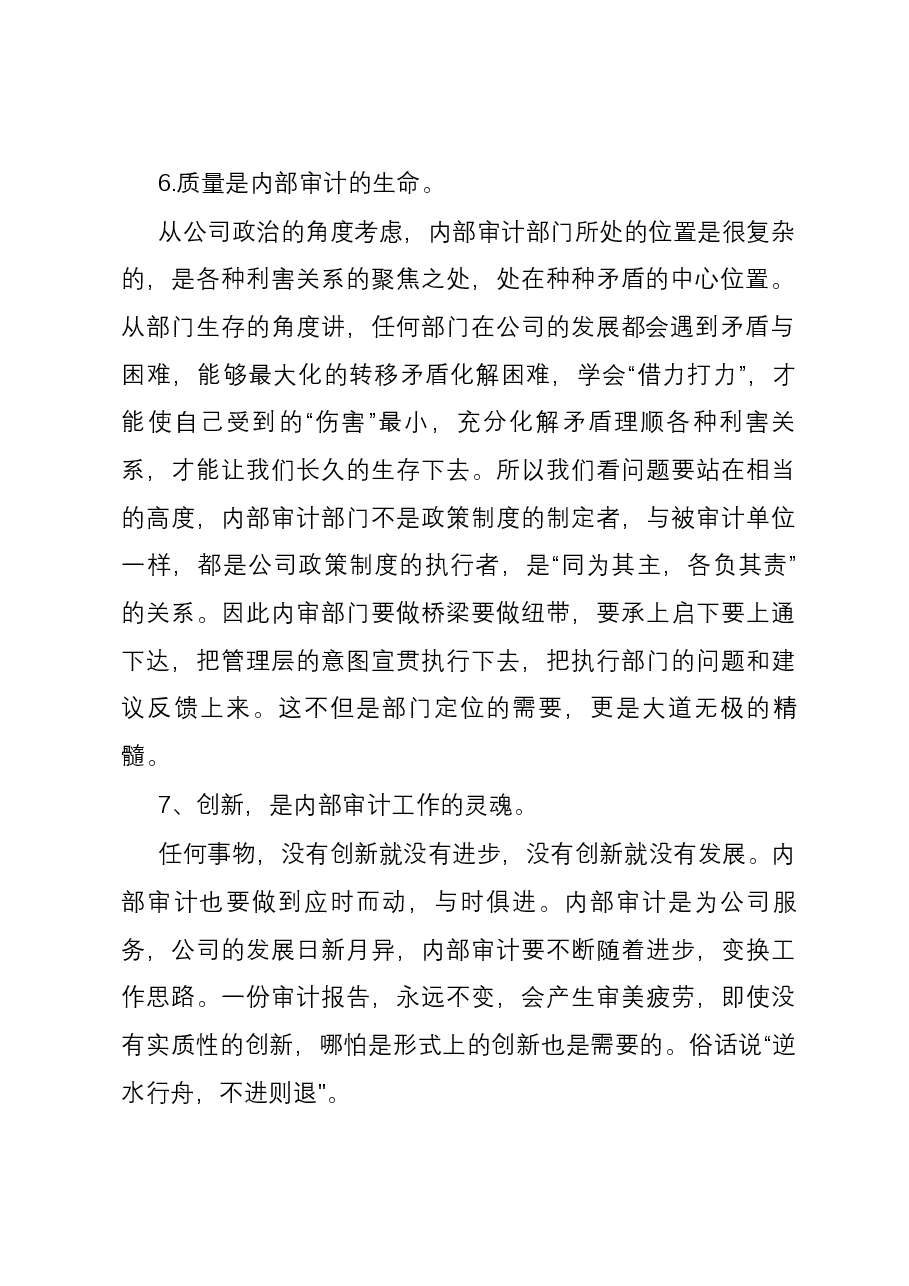 内部审计8大注意事项.docx,第4页预览