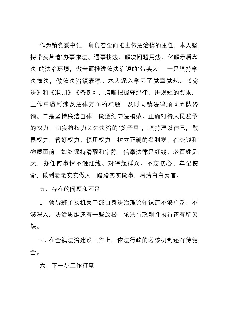 2023年乡镇党委书记述法报告.docx,第4页预览