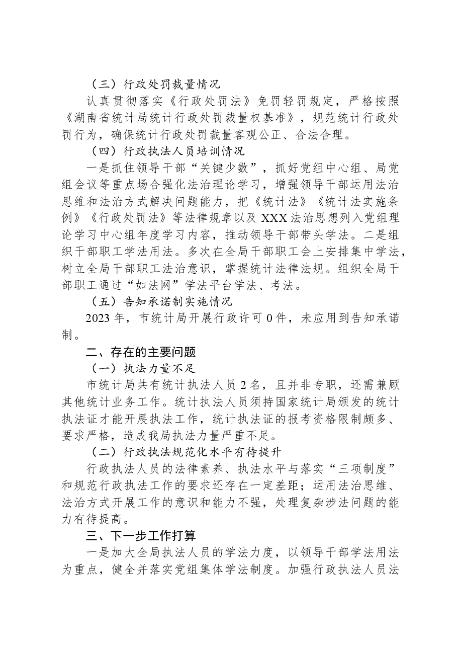 市统计局2023年行政执法工作总结.docx,第2页预览