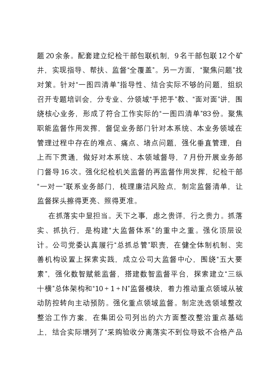 在国有企业纪检监察大监督体系建设推进会上的汇报发言.docx，第3页预览