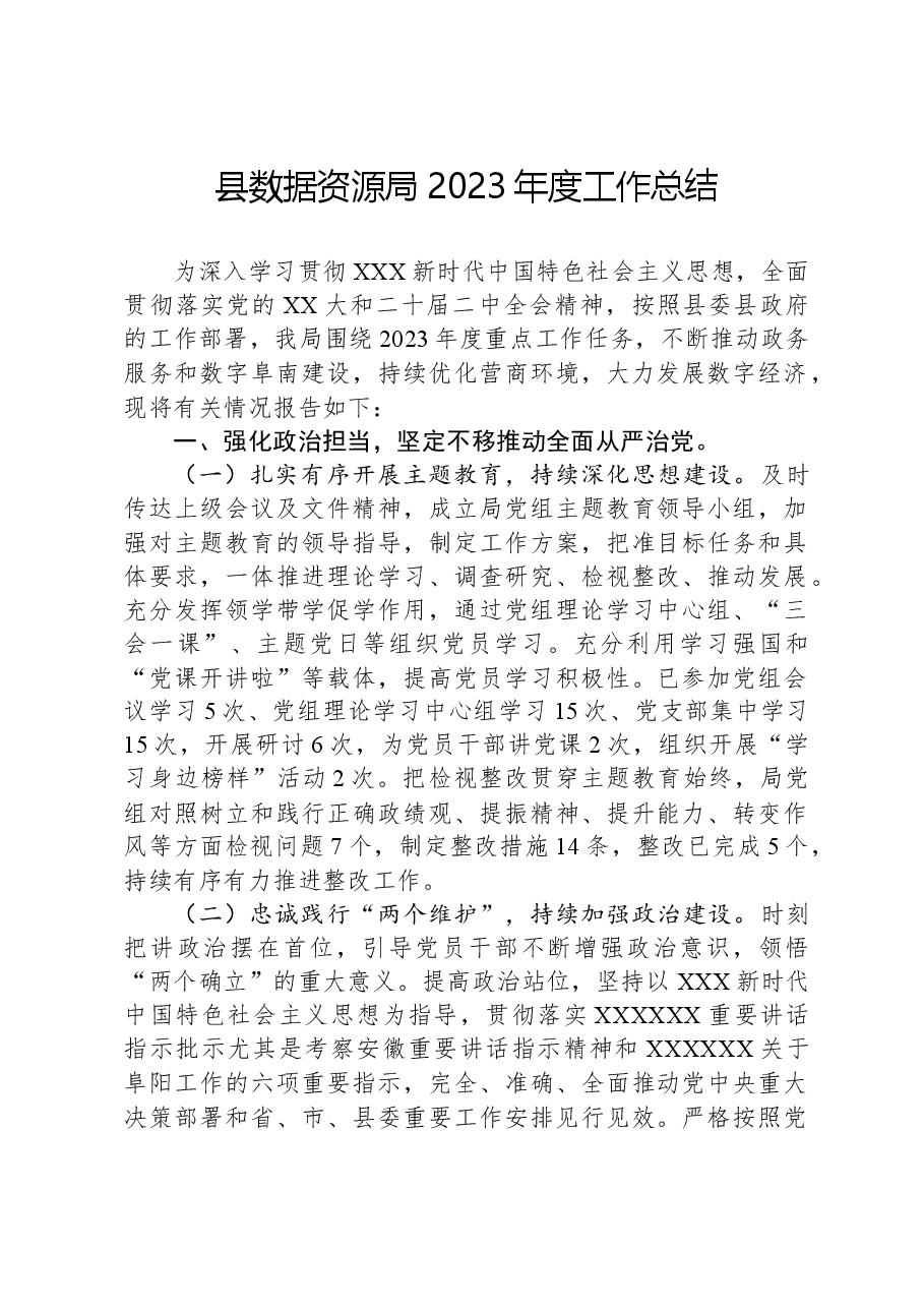 县数据资源局2023年度工作总结.docx,第1页预览