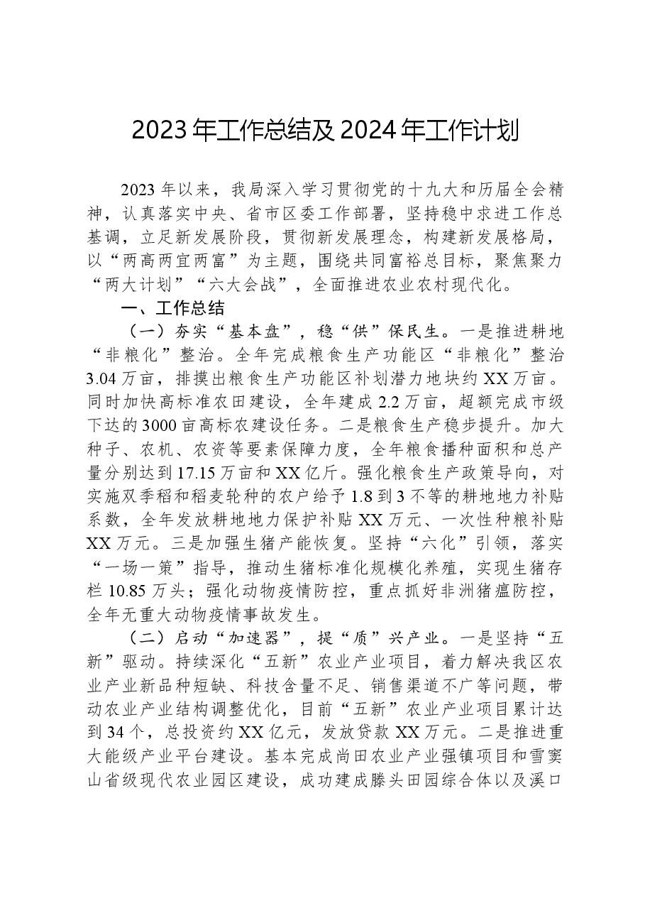 2023年工作总结及2024年工作计划11.docx,第1页预览