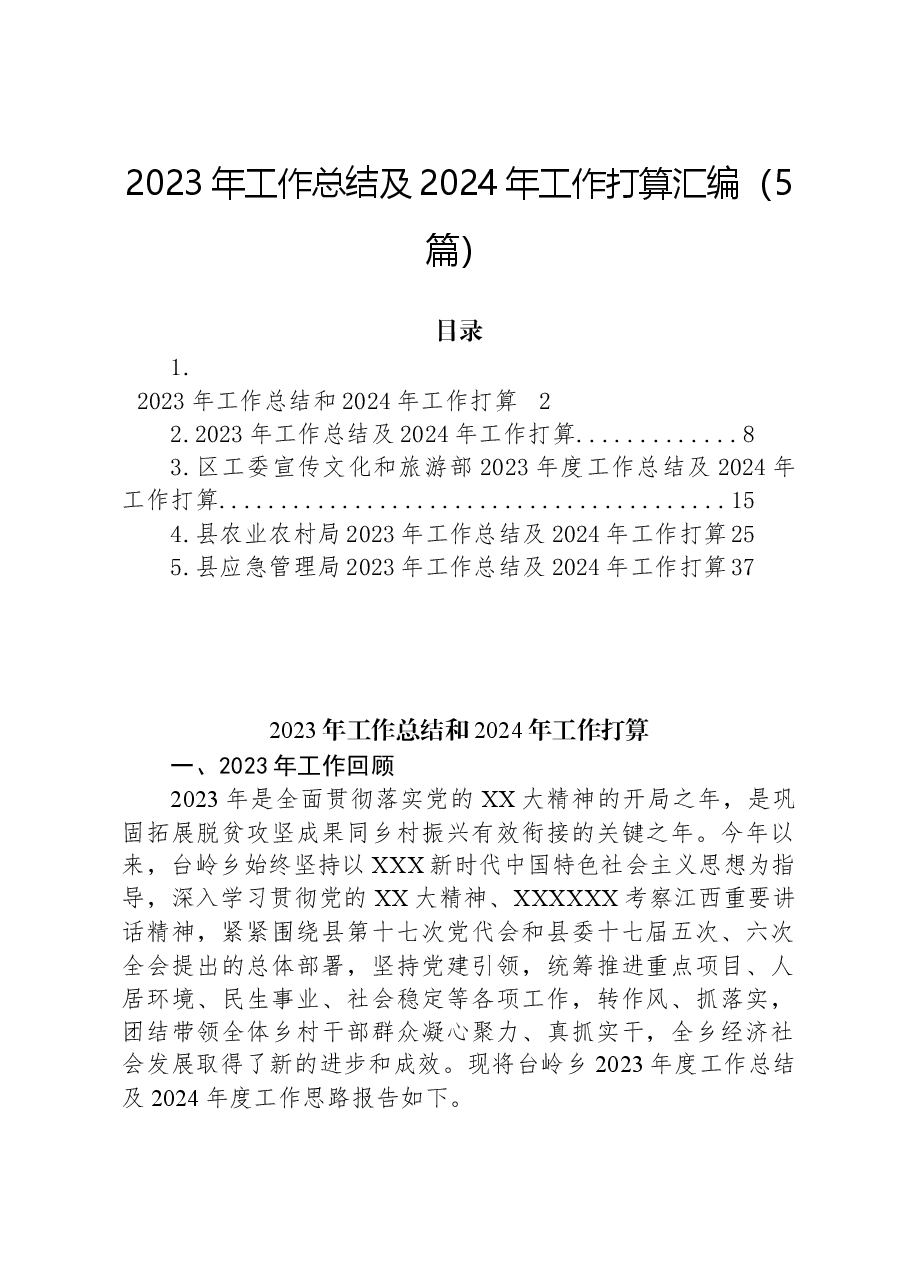 （5篇）2023年工作总结及2024年工作打算汇编.docx，第1页预览