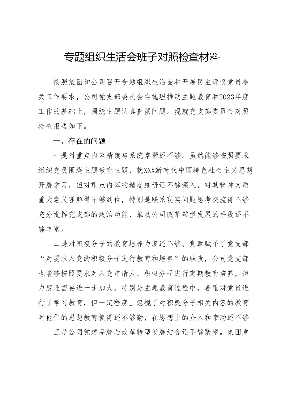 专题组织生活会班子对照检查材料(国企党支部).docx,第1页预览