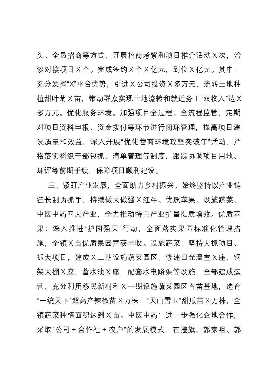(6篇)乡镇2023年工作总结及2024年工作计划汇编.docx,第3页预览