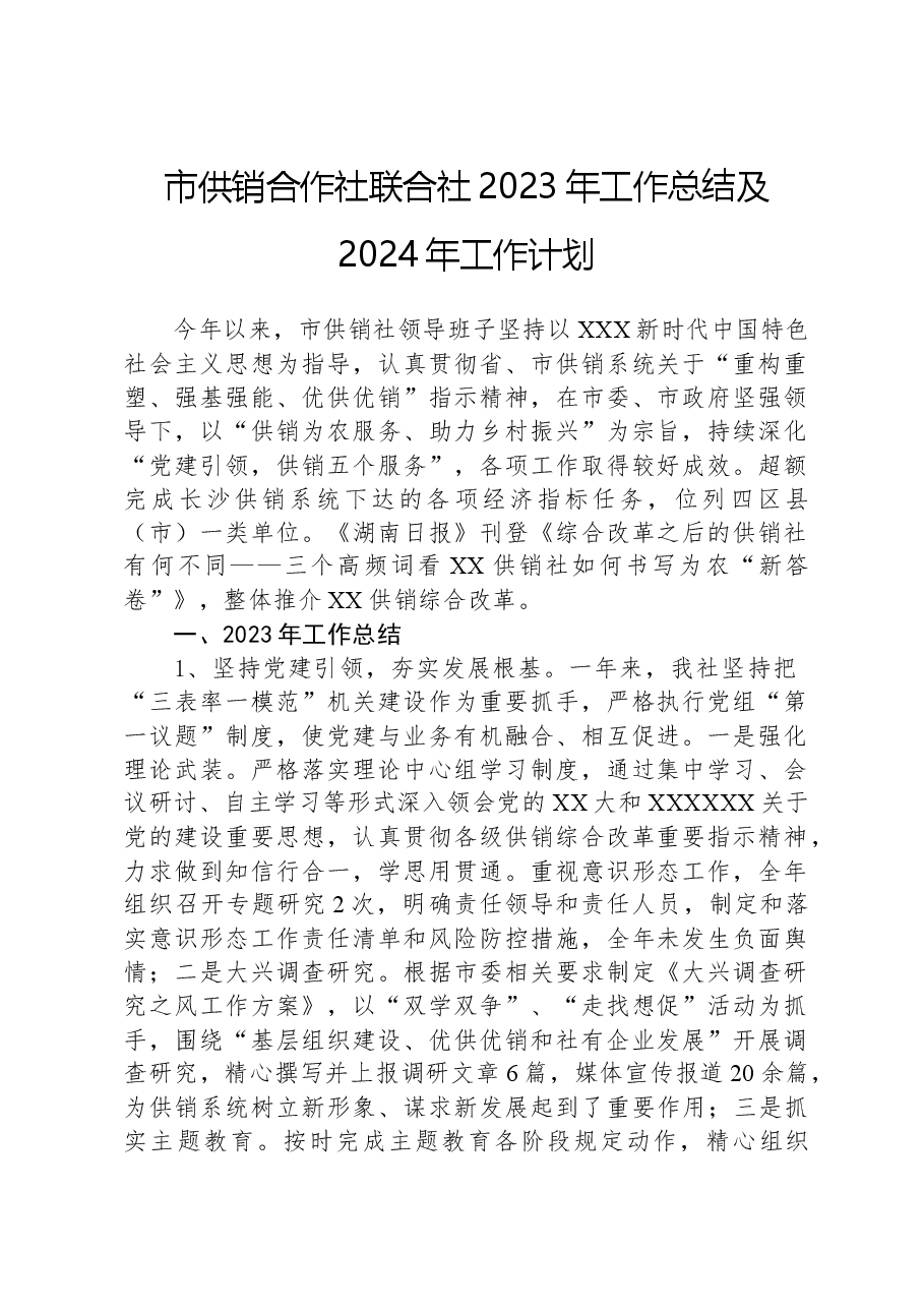 市供销合作社联合社2023年工作总结及2024年工作计划.docx，第1页预览