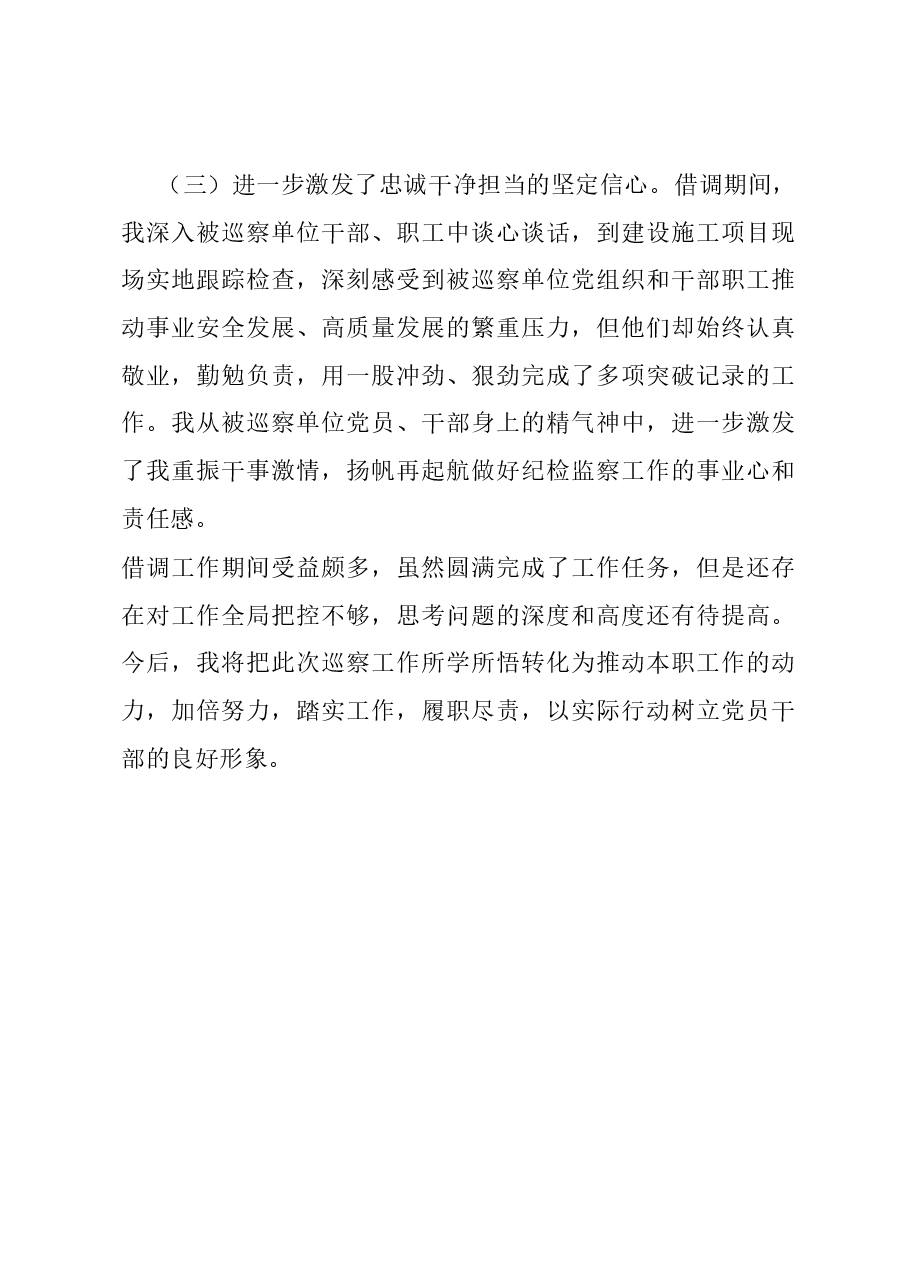 借调参加巡察工作总结.docx,第4页预览