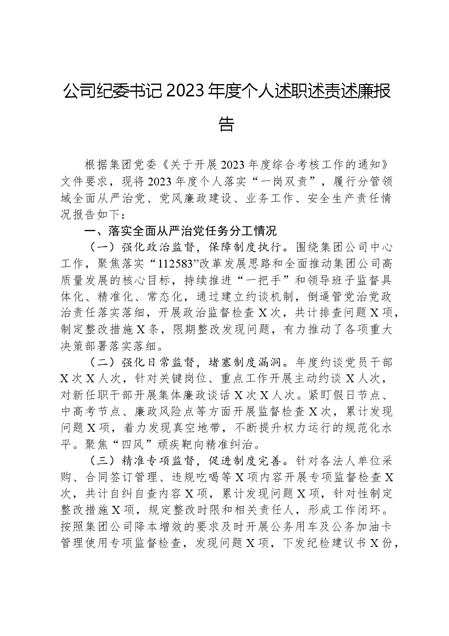 公司纪委书记2023年度个人述职述责述廉报告.docx,第1页预览