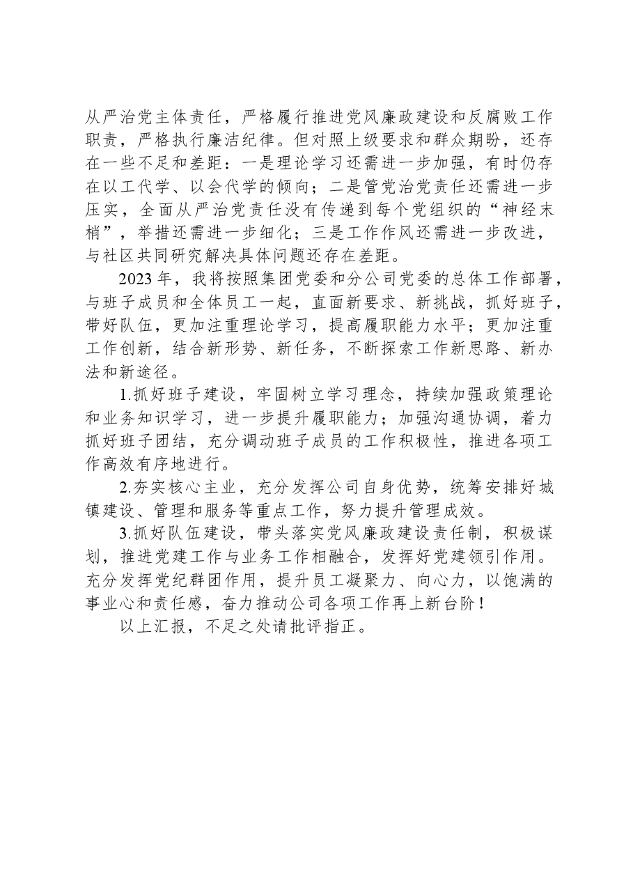 2023年度公司党委书记述职述廉述责报告.docx,第3页预览