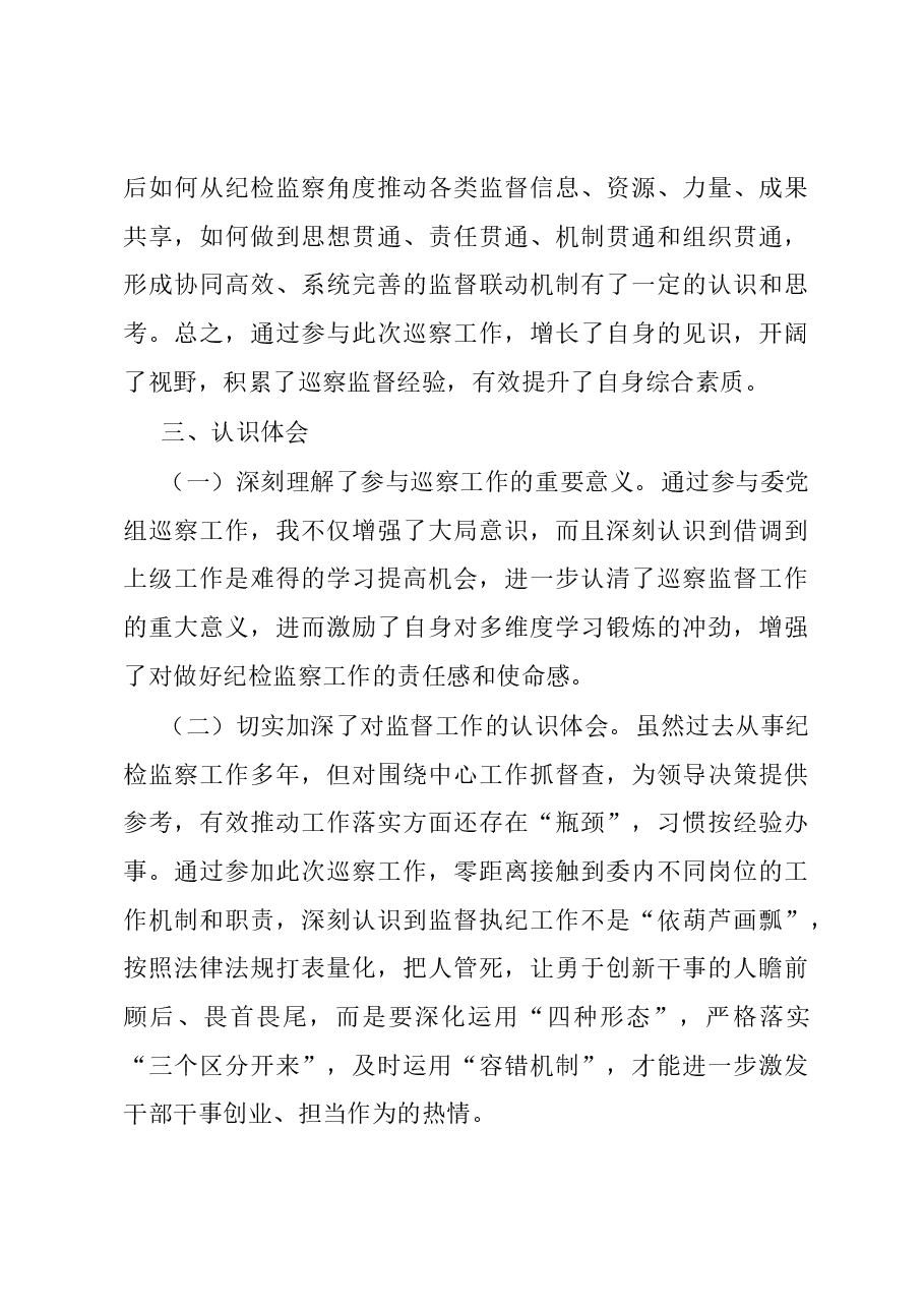 借调参加巡察工作总结.docx,第3页预览
