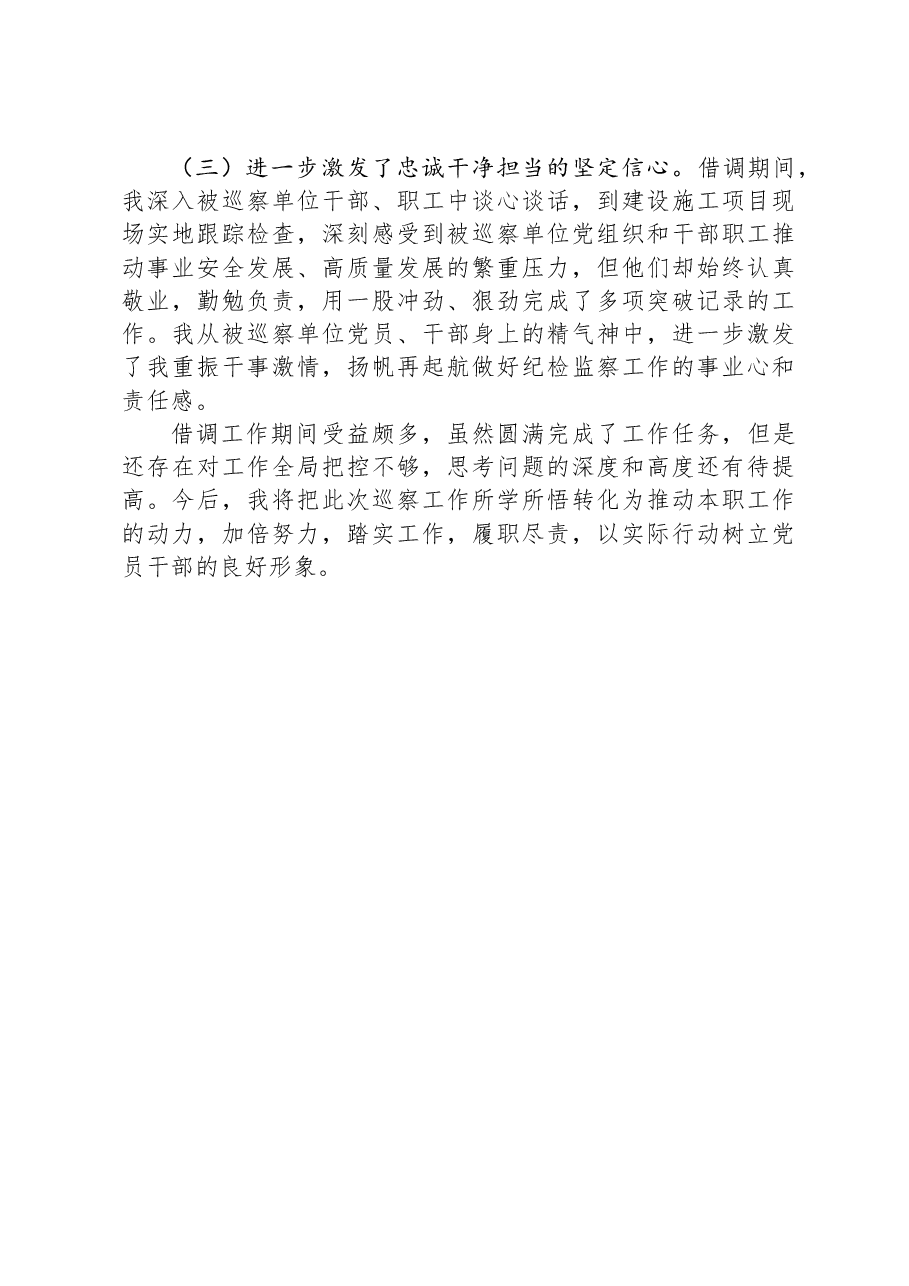 借调参加巡察工作总结.docx,第3页预览