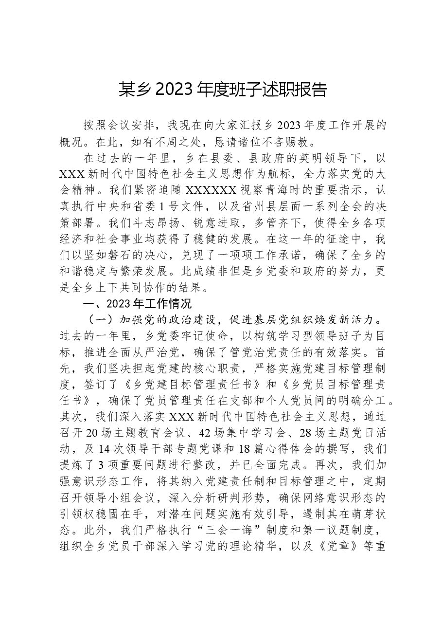 某乡2023年度班子述职报告.docx，第1页预览