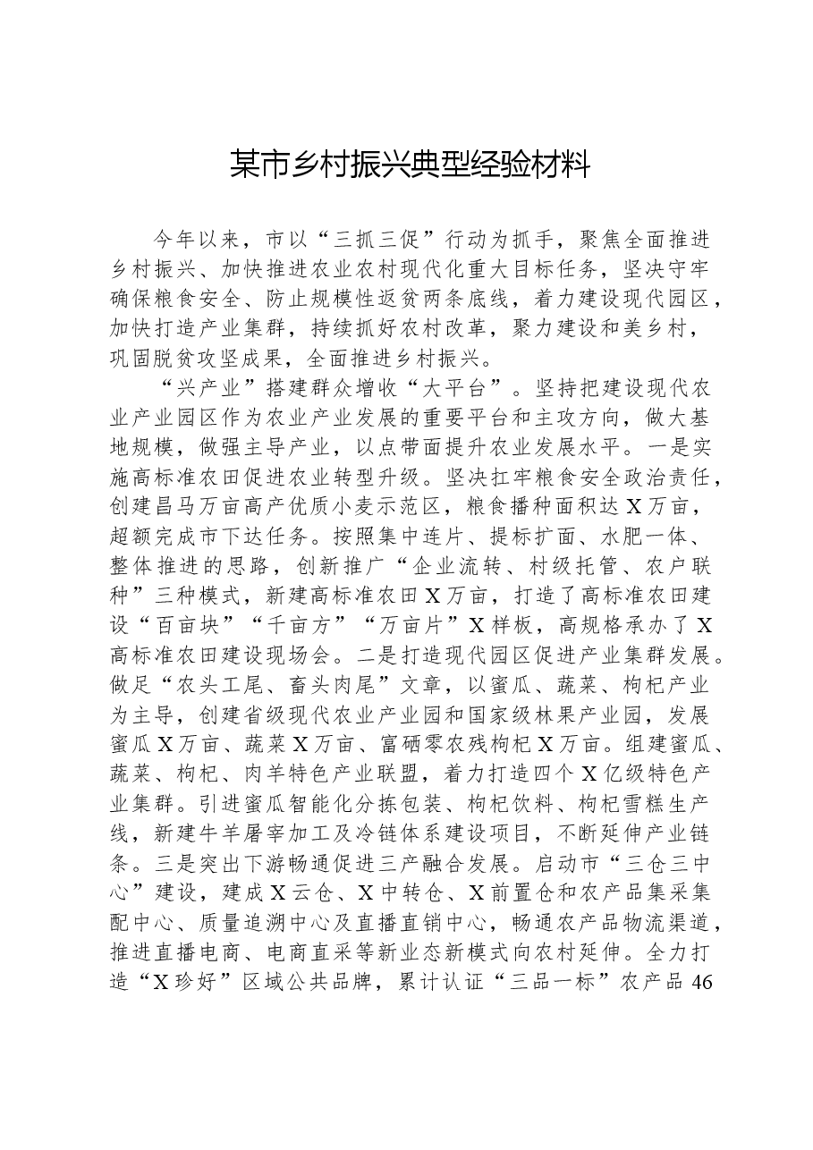 某市乡村振兴典型经验材料.docx,第1页预览