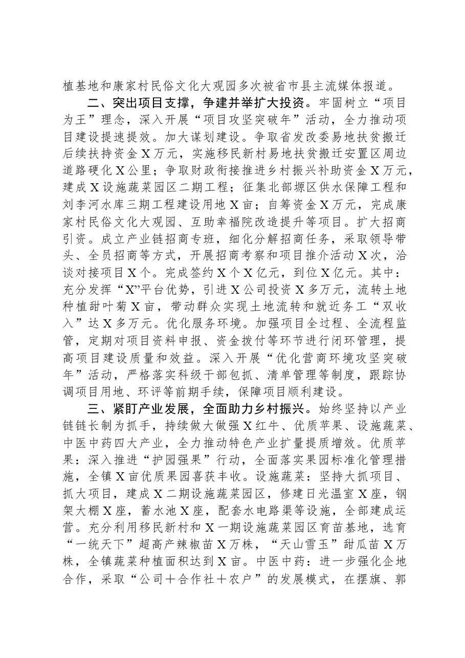 某乡镇2023年工作总结及2024年工作计划.docx,第2页预览