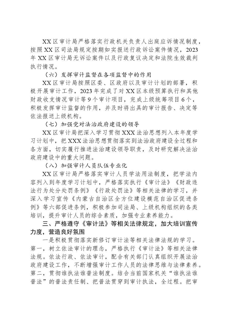 （4篇）审计局2023年度工作总结汇编.docx，第3页预览