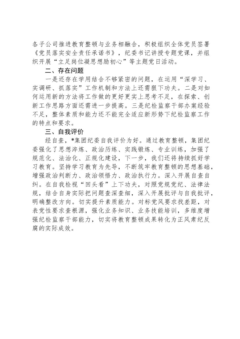集团纪委纪检监察干部教育整顿阶段性工作总结.docx,第3页预览