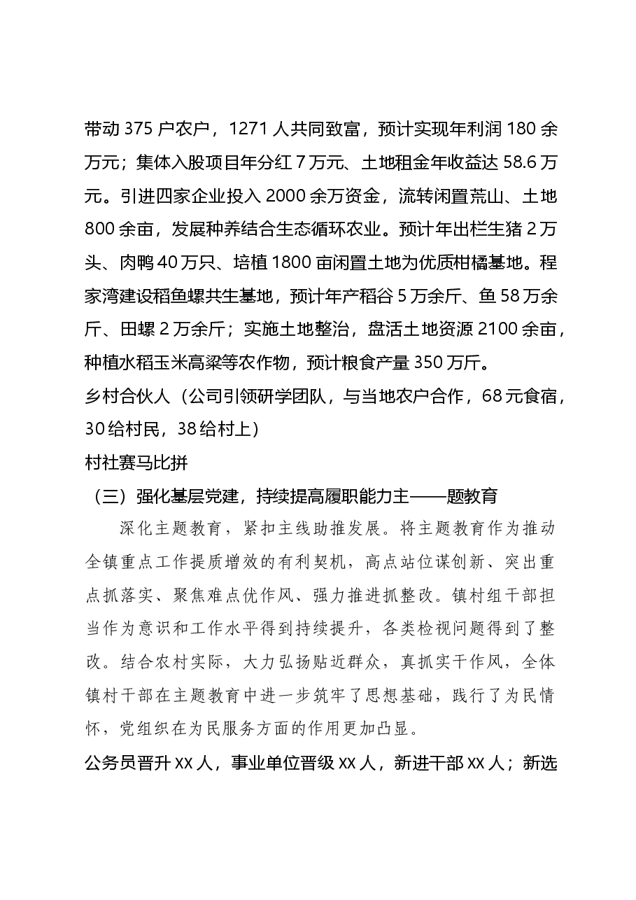 2024年镇党委书记述职报告.doc,第2页预览