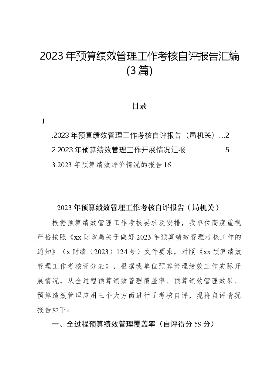 (3篇)2023年预算绩效管理工作考核自评报告汇编.docx,第1页预览