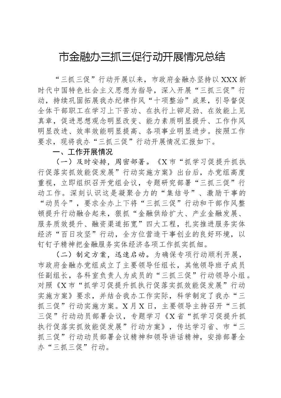 市金融办三抓三促行动开展情况总结.docx,第1页预览