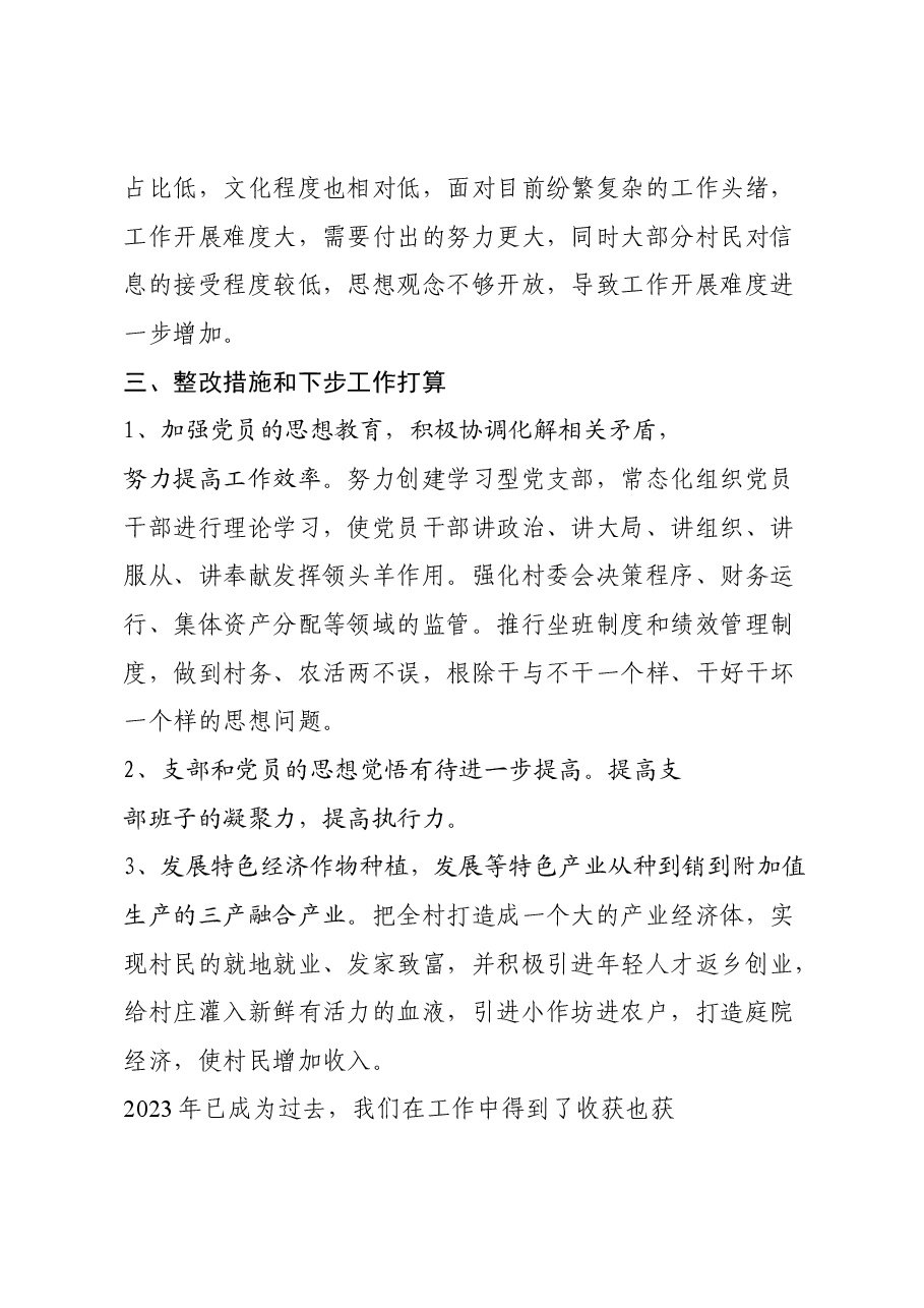 2023年x村述职报告.docx,第3页预览