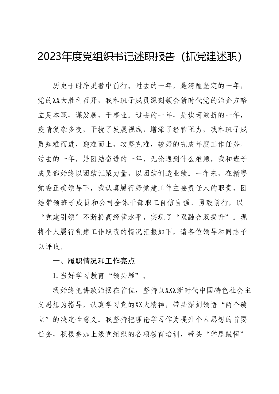 2023年度党组织书记述职报告（抓党建述职）.docx，第1页预览
