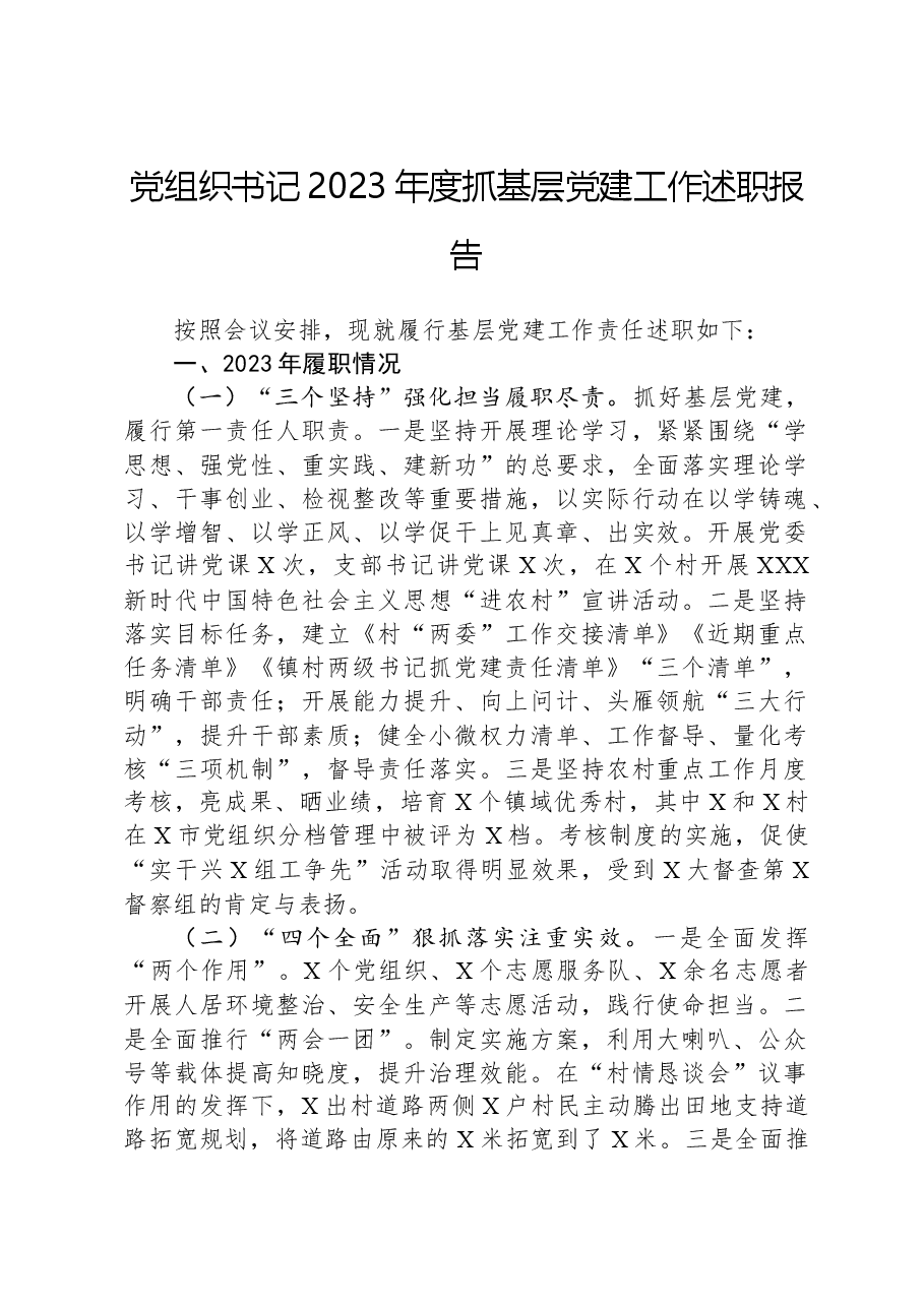 党组织书记2023年度抓基层党建工作述职报告.docx,第1页预览