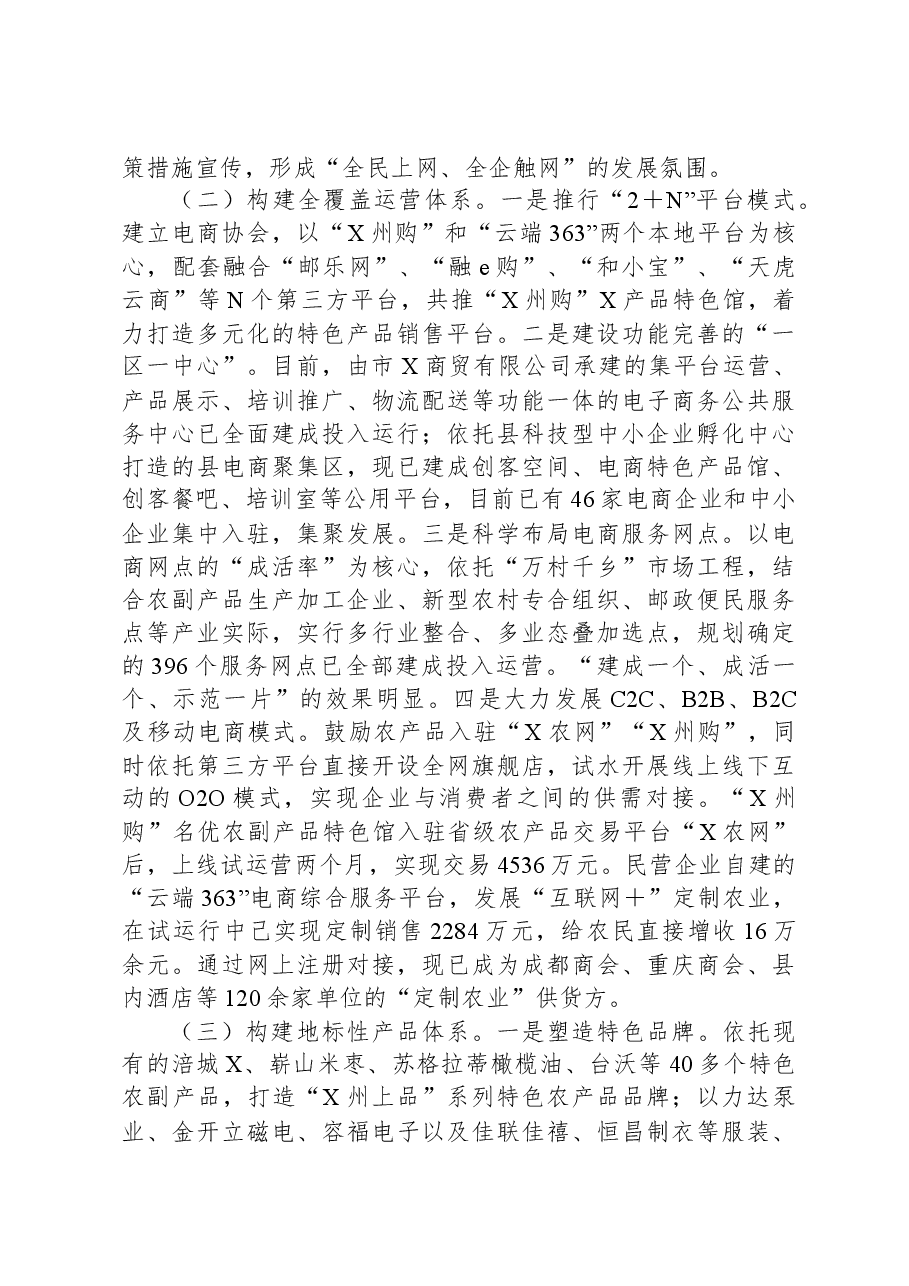 关于电子商务进农村综合示范县项目深化改革工作总结.docx，第2页预览