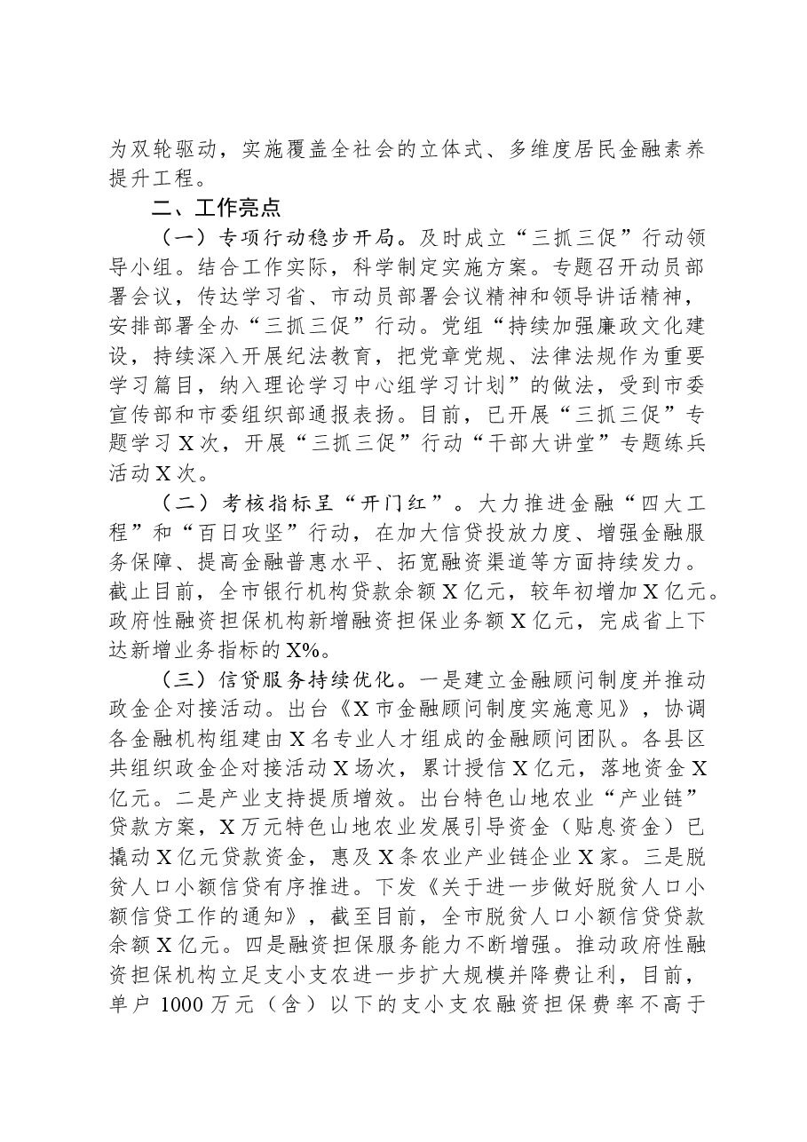 市金融办三抓三促行动开展情况总结.docx,第3页预览