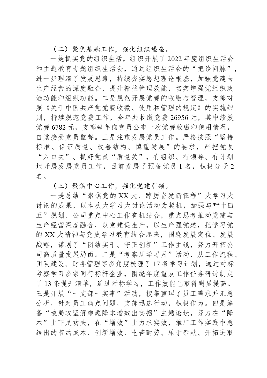 国企2023年党建总结及2024年工作计划.docx,第2页预览
