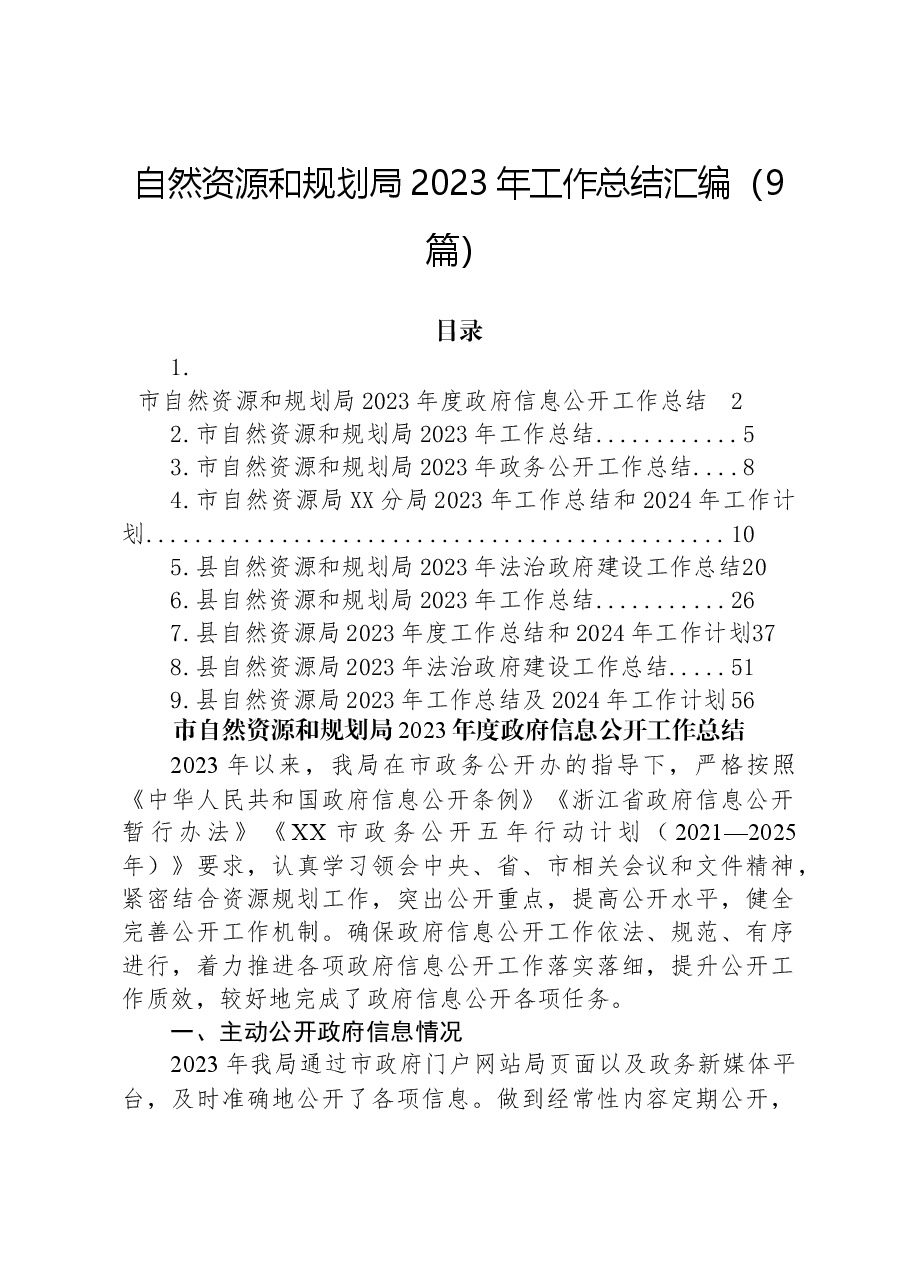 (9篇)自然资源和规划局2023年工作总结汇编.docx,第1页预览