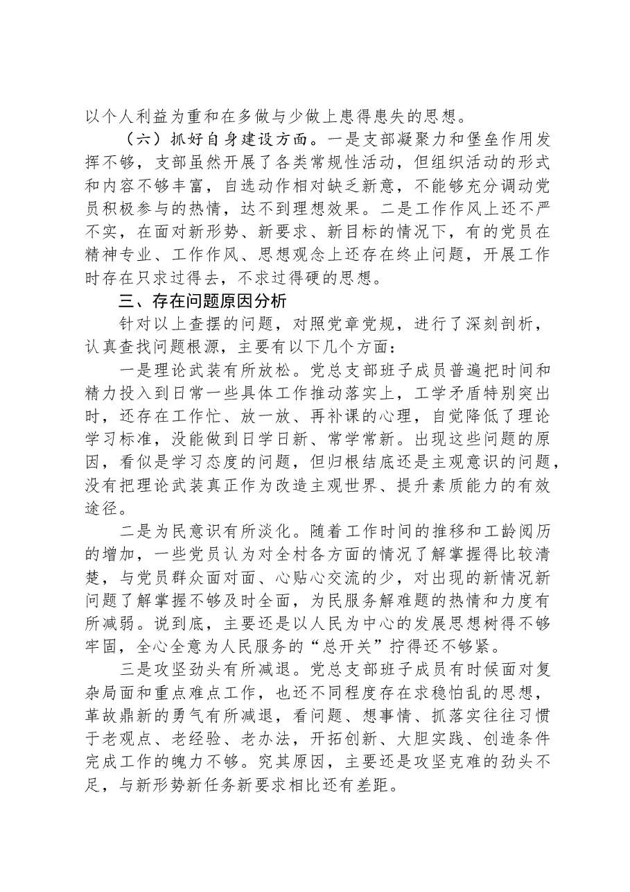 党支部班子主题教育专题组织生活会对照检查材料.docx,第3页预览