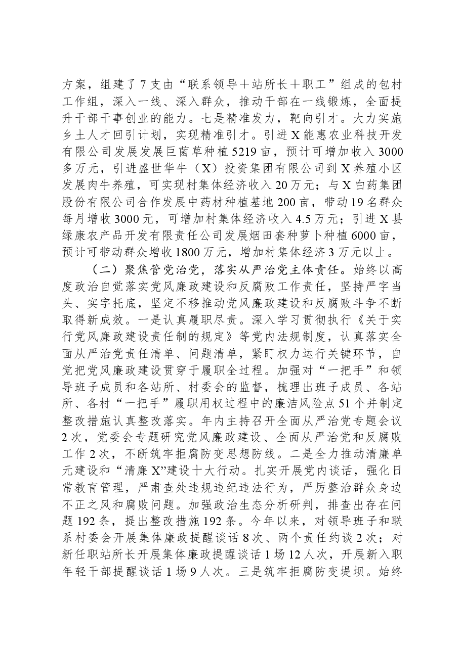 乡党委书记2023年个人述职报告.docx,第3页预览
