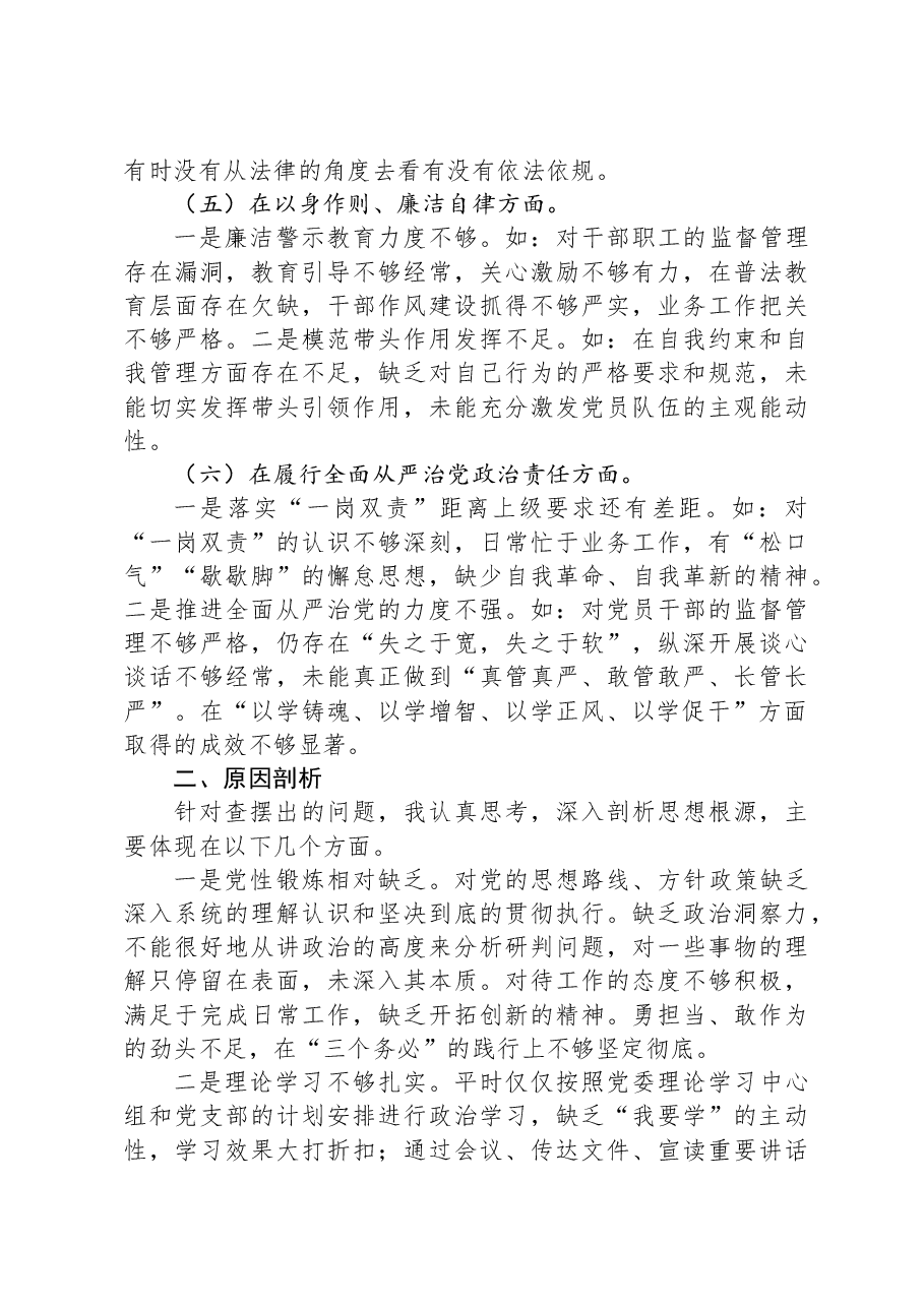 主题教育专题民主生活会对照检查材料发言提纲.docx，第3页预览