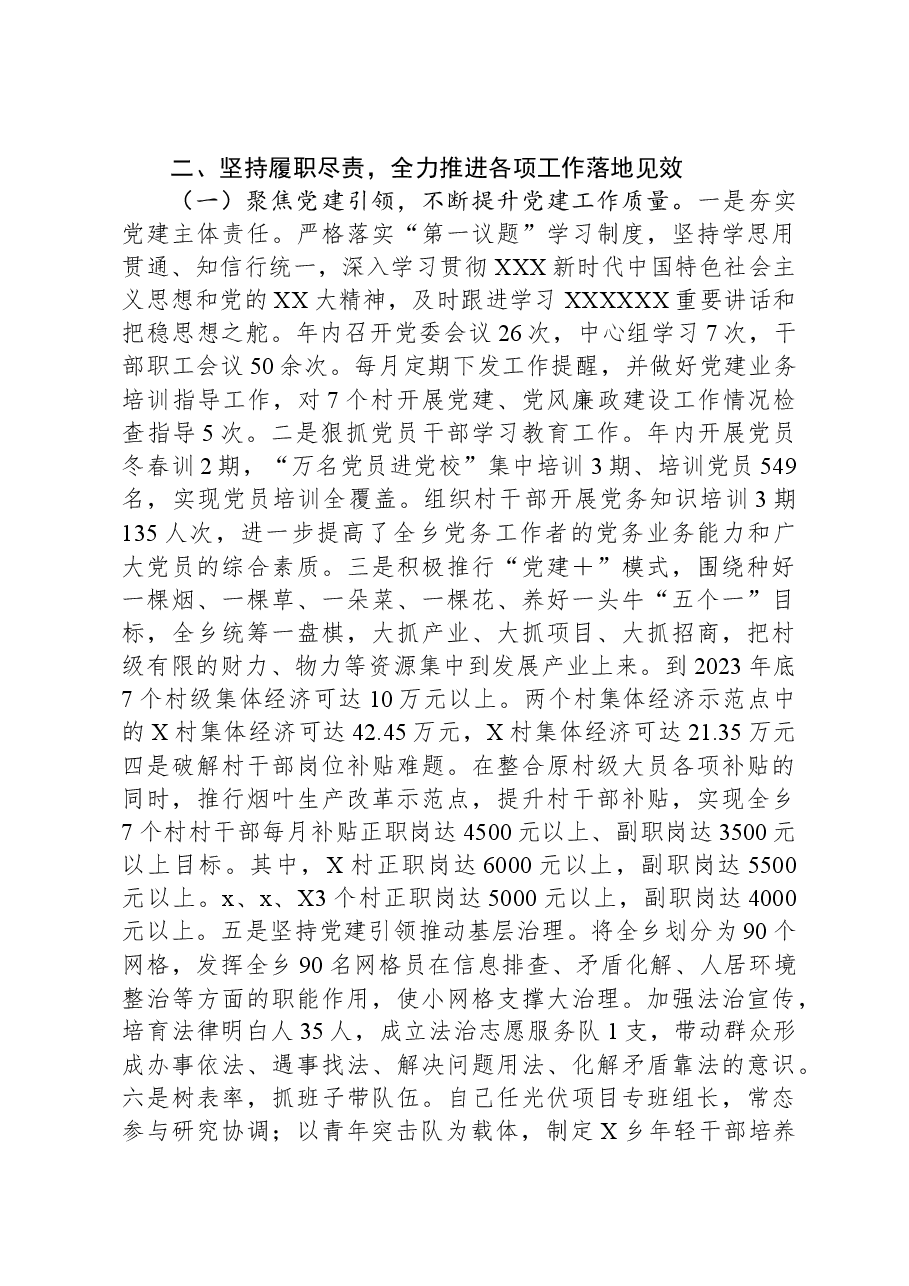 乡党委书记2023年个人述职报告.docx,第2页预览