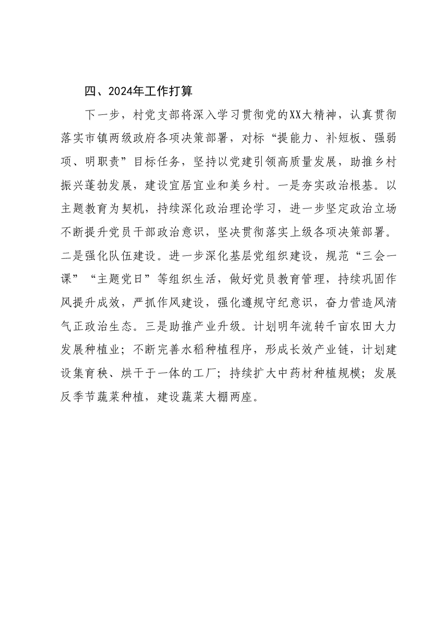 村2023年度基层党建工作述职报告.docx，第4页预览