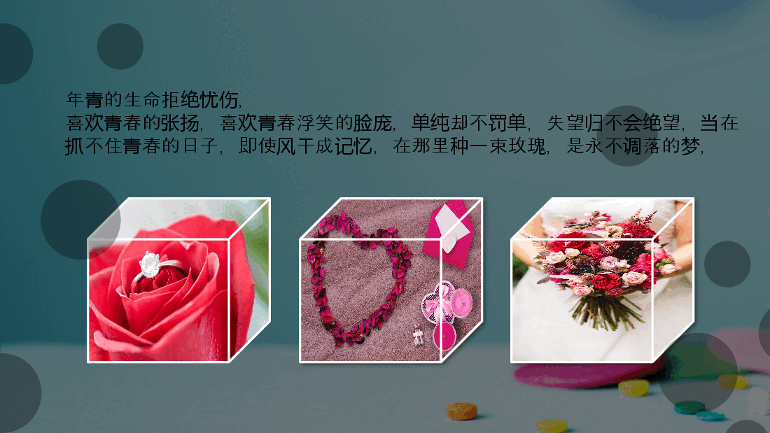 多彩唯美梦幻生日快乐相册PPT.pptx,第3页预览