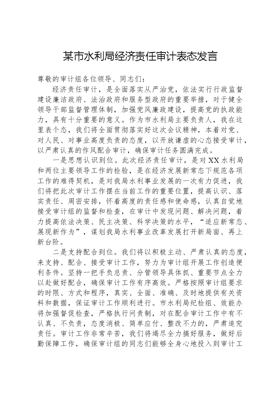 某市水利局经济责任审计表态发言.docx,第1页预览