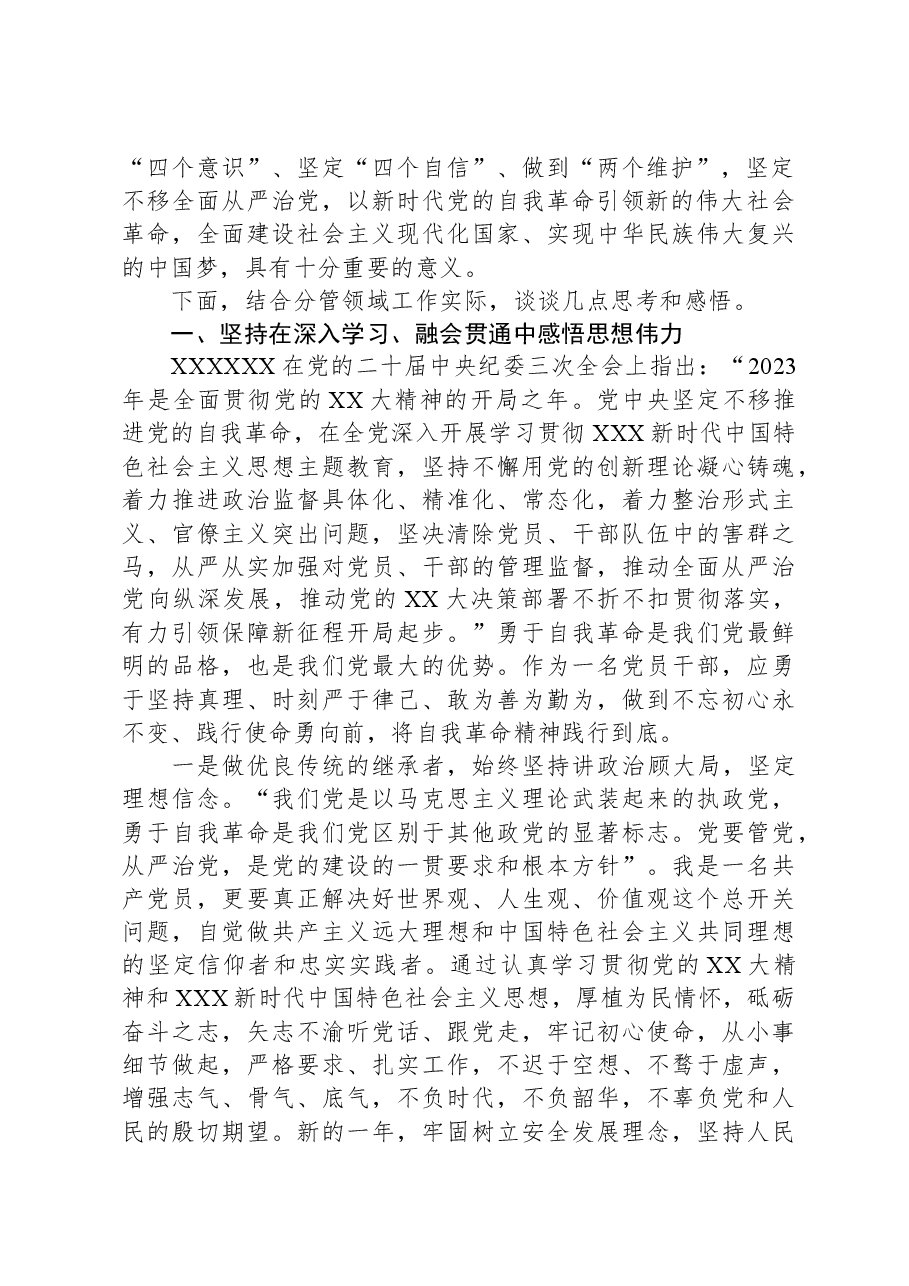 党课:深入贯彻落实习近平总书记关于党的自我革命重要思想+以高质量党的建设引领企业高质量发展.docx,第2页预览