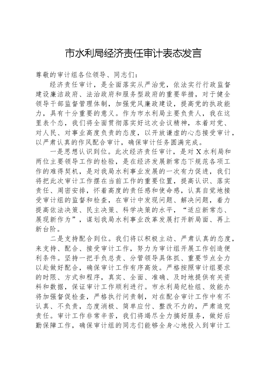 市水利局经济责任审计表态发言.docx,第1页预览