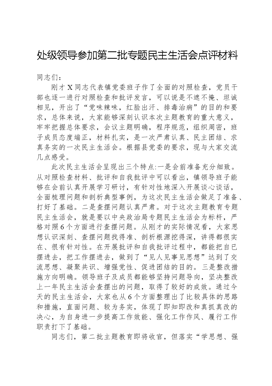 处级领导参加第二批专题民主生活会点评材料.docx,第1页预览