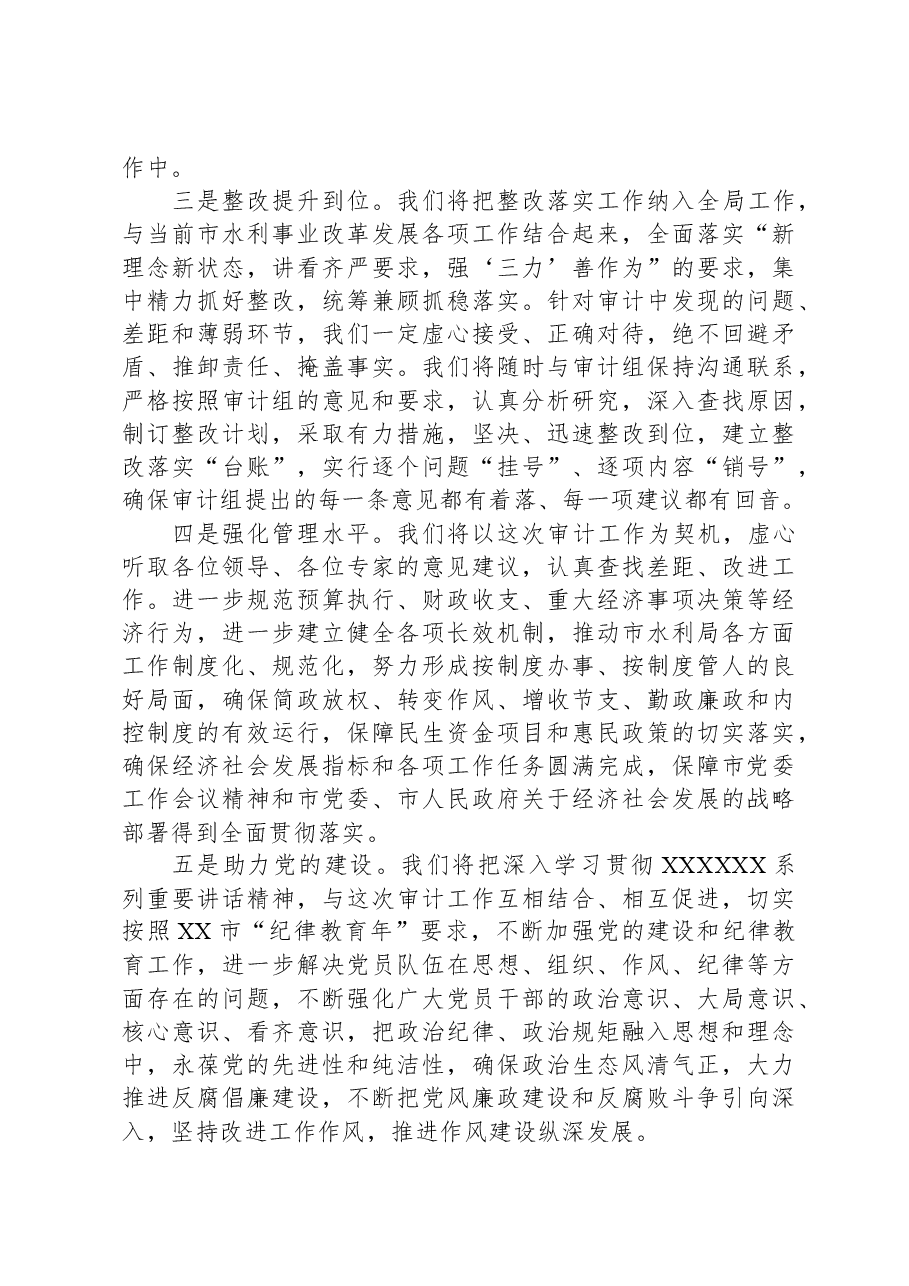 市水利局经济责任审计表态发言.docx,第2页预览
