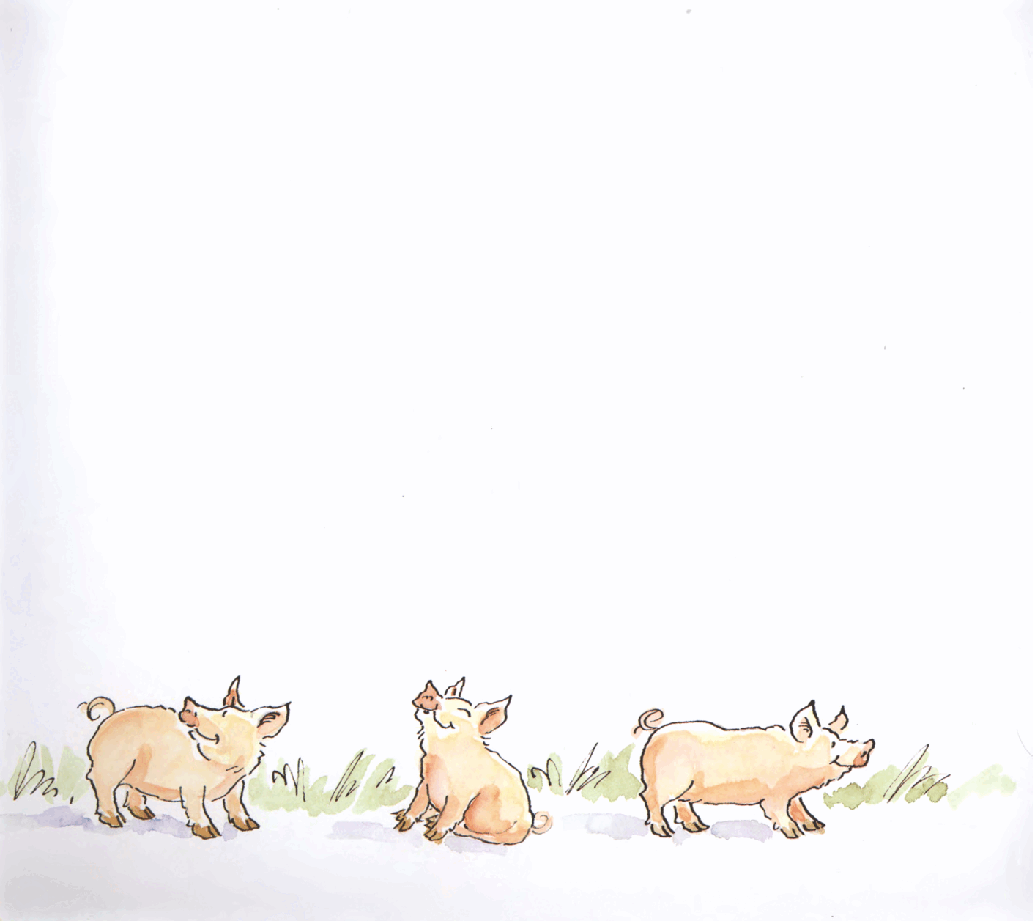 （二段名家绘本）The Great Pig Escape.pdf，第3页预览