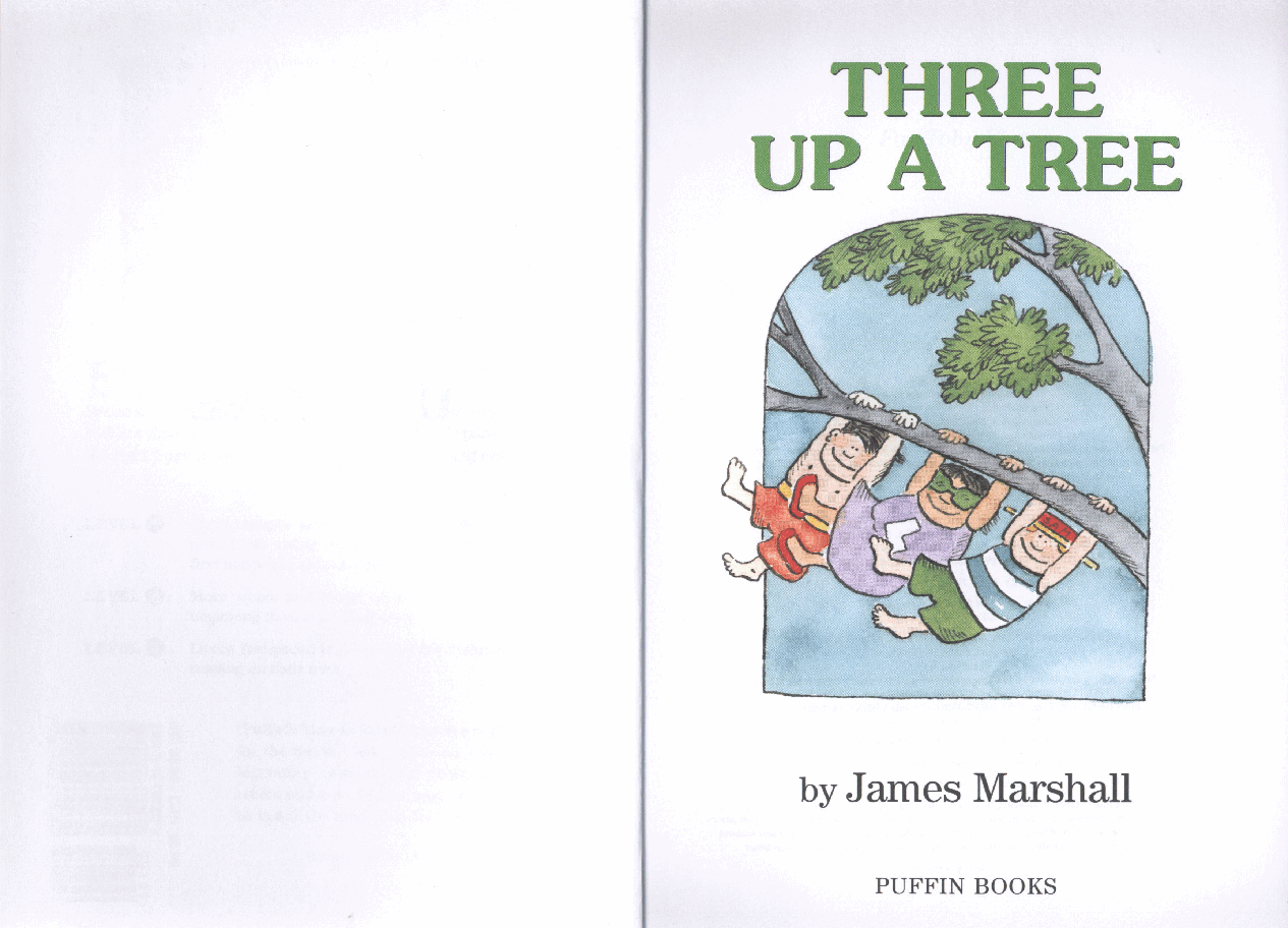 第三阶段Fox系列Three up a Tree.pdf,第3页预览