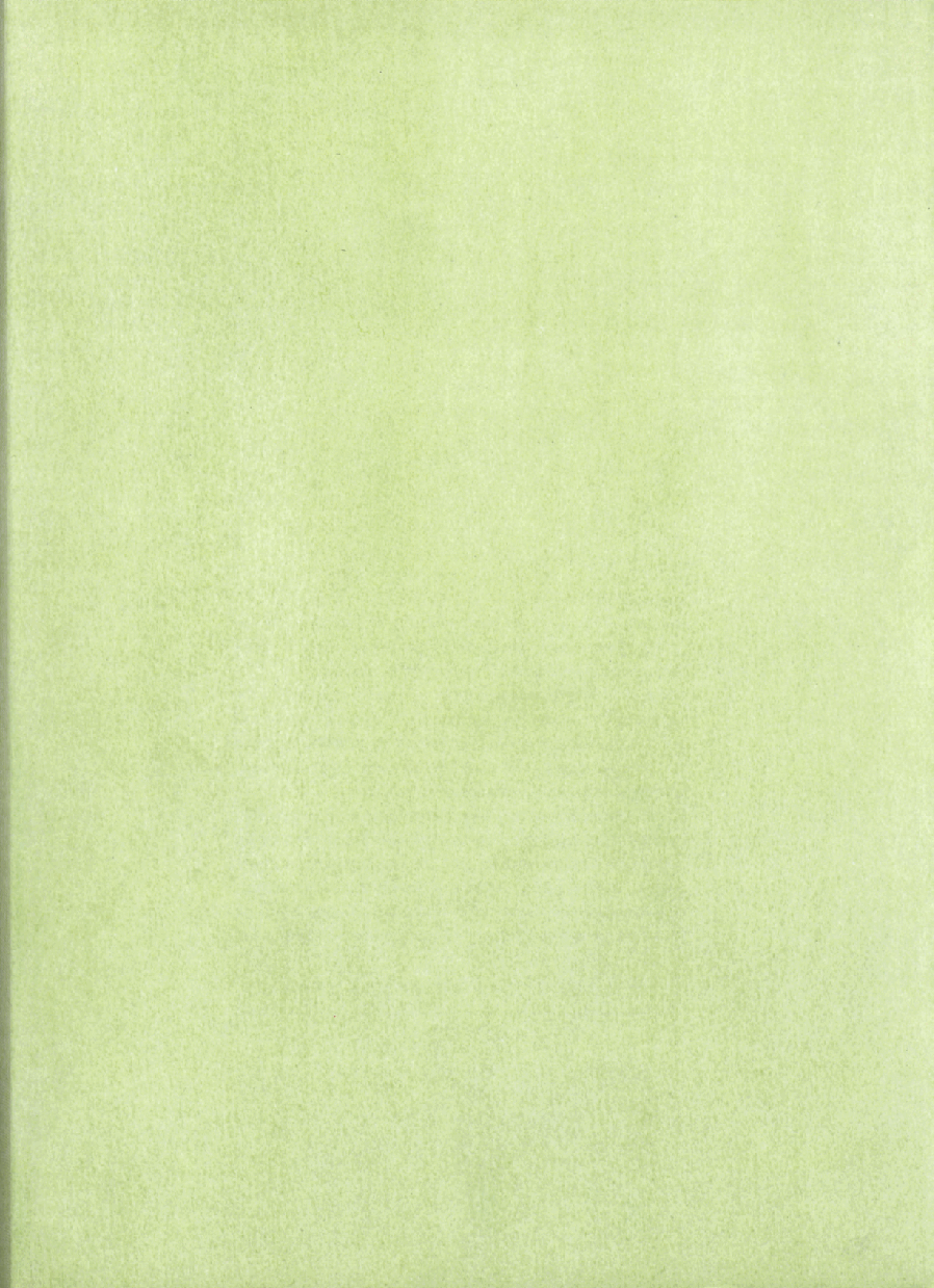 （二段名家绘本）Little Polar Bear.pdf，第3页预览