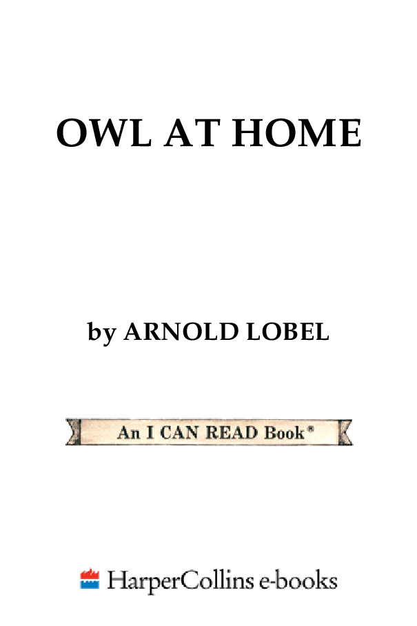 8.(三段)Owl at Home.pdf,第3页预览
