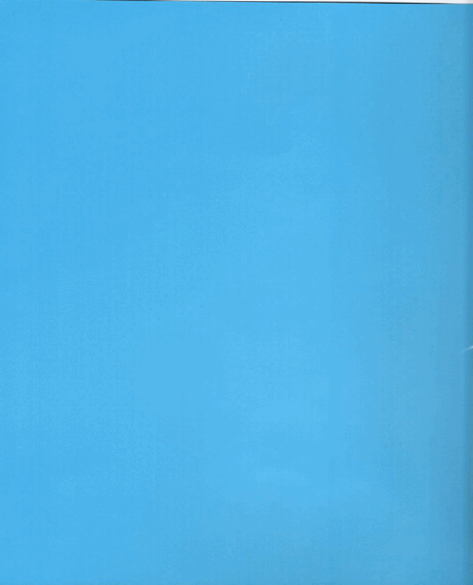 英语绘本Balloonia.pdf,第2页预览