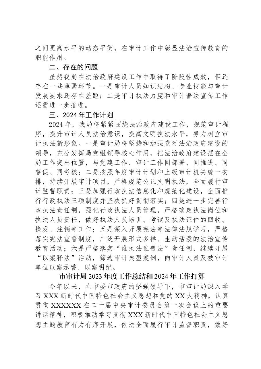 (5篇)审计局2023年度工作总结汇编.docx,第4页预览