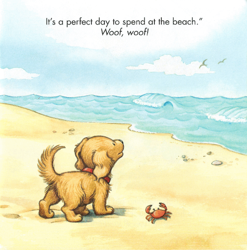 早教英语绘本Biscuit's First Beach Day.pdf,第4页预览