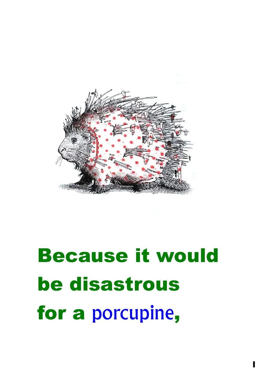 英文绘本创意教学animals_should_definitely_not_wear_clothing1.pdf，第3页预览