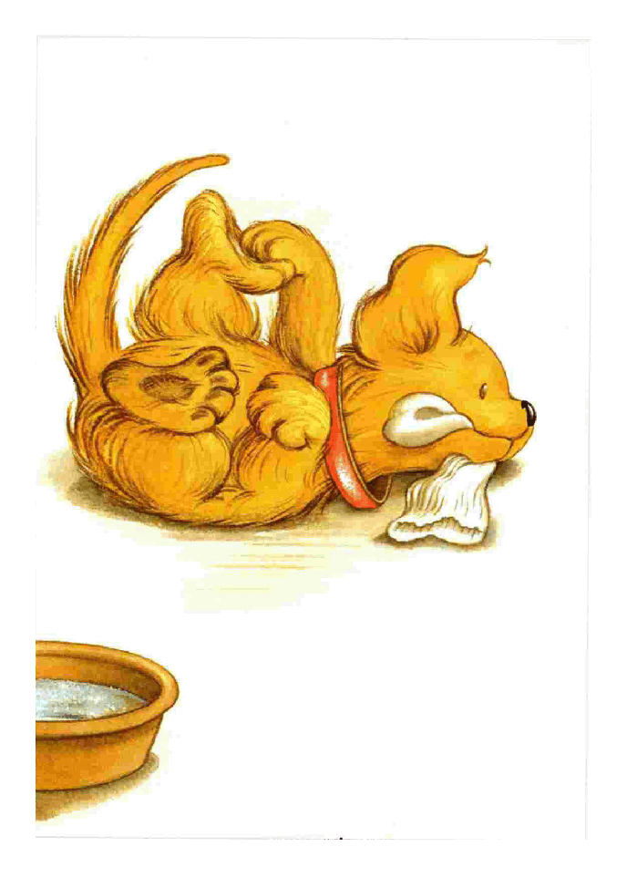 早教英语绘本Biscuit Wins a Prize.pdf，第2页预览